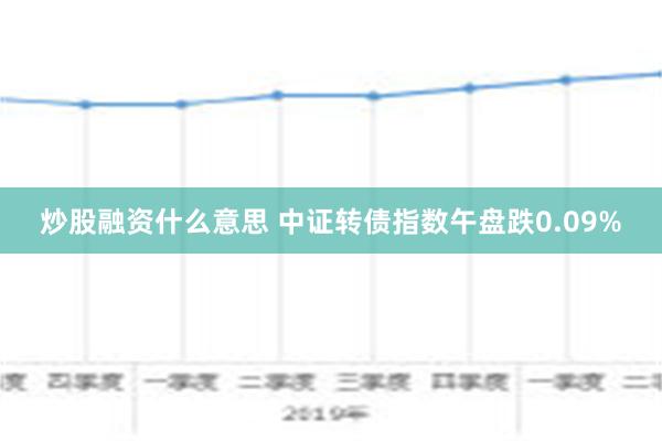 炒股融资什么意思 中证转债指数午盘跌0.09%