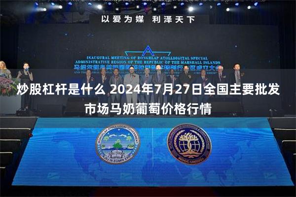 炒股杠杆是什么 2024年7月27日全国主要批发市场马奶葡萄价格行情