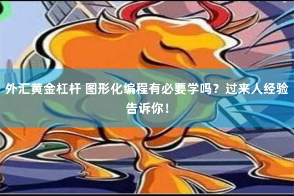 外汇黄金杠杆 图形化编程有必要学吗？过来人经验告诉你！