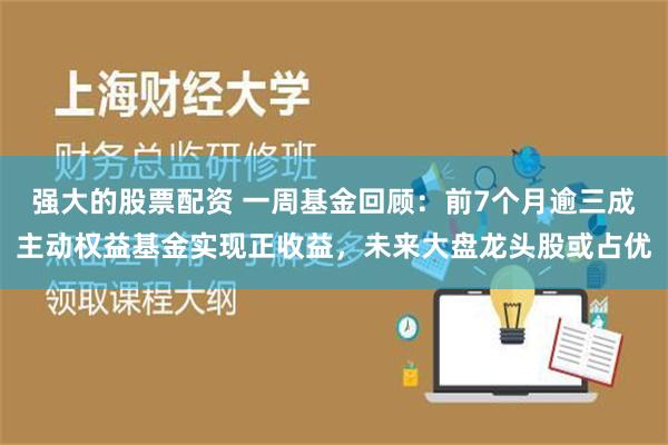 强大的股票配资 一周基金回顾：前7个月逾三成主动权益基金实现正收益，未来大盘龙头股或占优