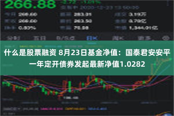 什么是股票融资 8月23日基金净值：国泰君安安平一年定开债券发起最新净值1.0282