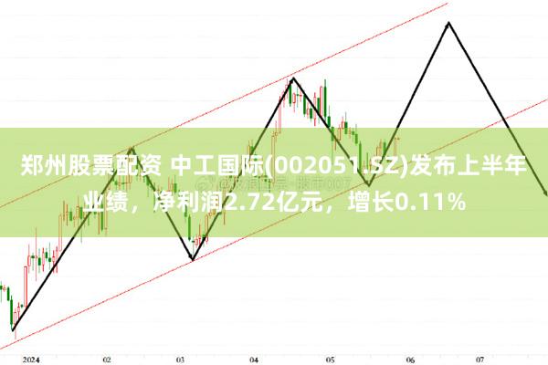 郑州股票配资 中工国际(002051.SZ)发布上半年业绩，净利润2.72亿元，增长0.11%