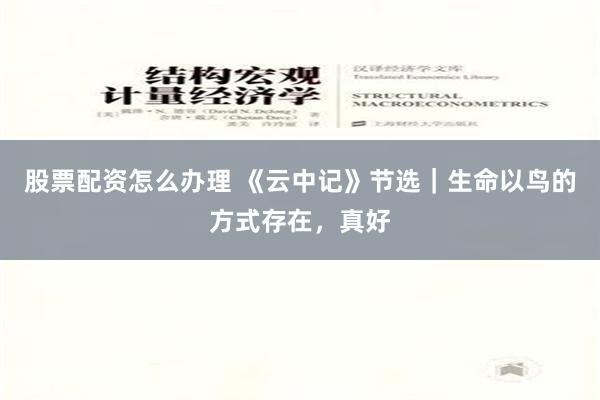 股票配资怎么办理 《云中记》节选｜生命以鸟的方式存在，真好