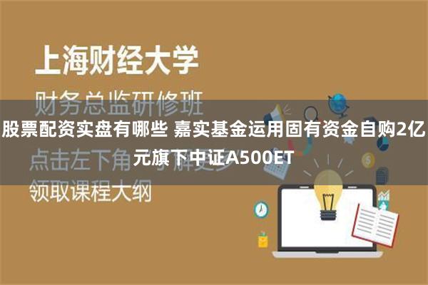 股票配资实盘有哪些 嘉实基金运用固有资金自购2亿元旗下中证A500ET