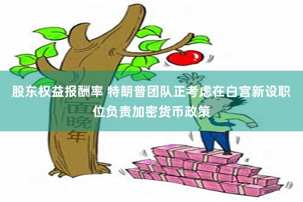 股东权益报酬率 特朗普团队正考虑在白宫新设职位负责加密货币政策