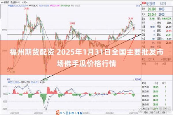 福州期货配资 2025年1月31日全国主要批发市场佛手瓜价格行情