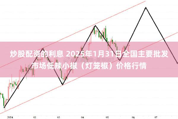 炒股配资的利息 2025年1月31日全国主要批发市场低辣小椒（灯笼椒）价格行情