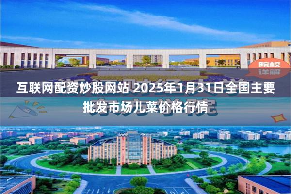 互联网配资炒股网站 2025年1月31日全国主要批发市场儿菜价格行情